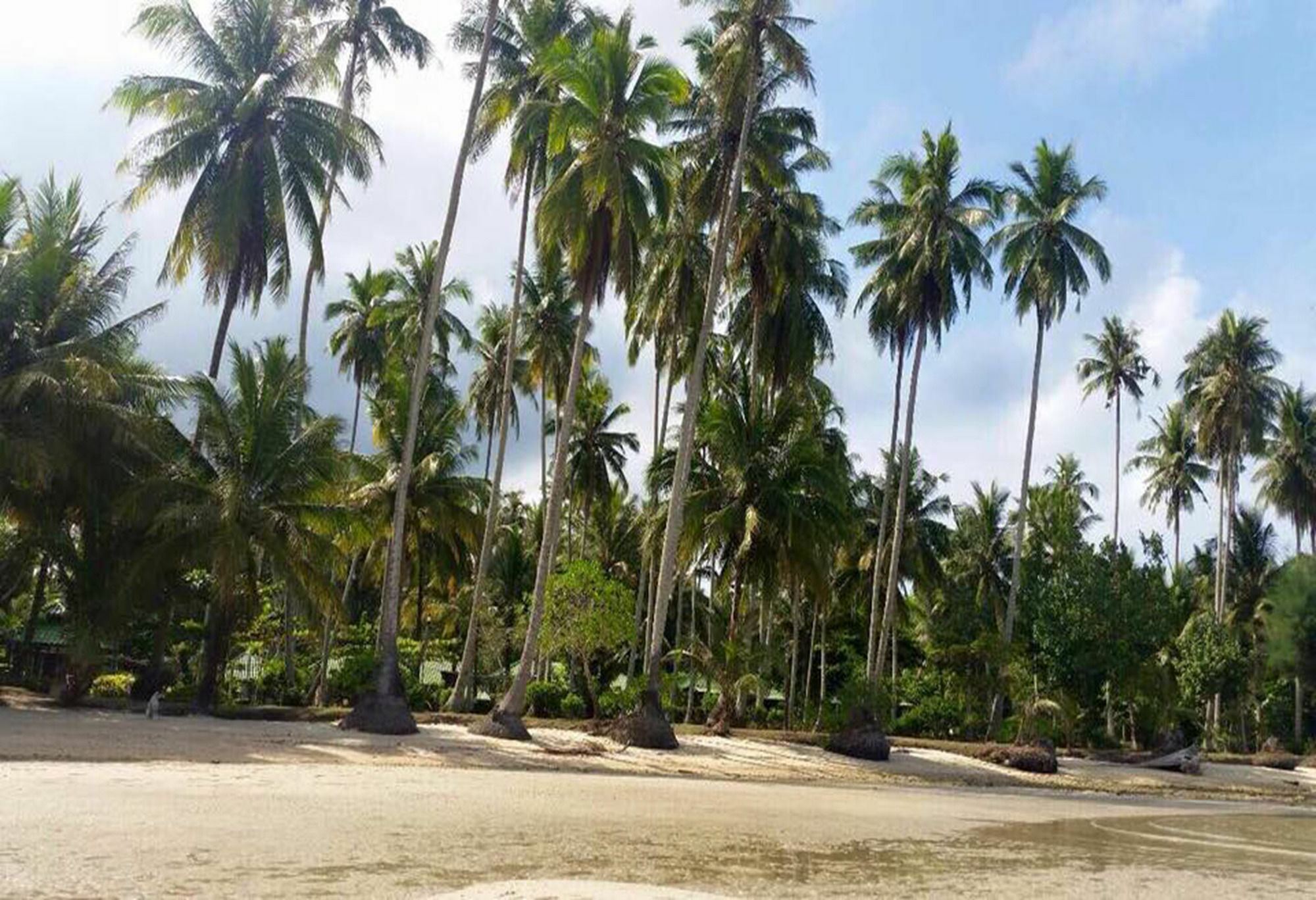 Dusita Koh Kood Resort Ko Kut المظهر الخارجي الصورة
