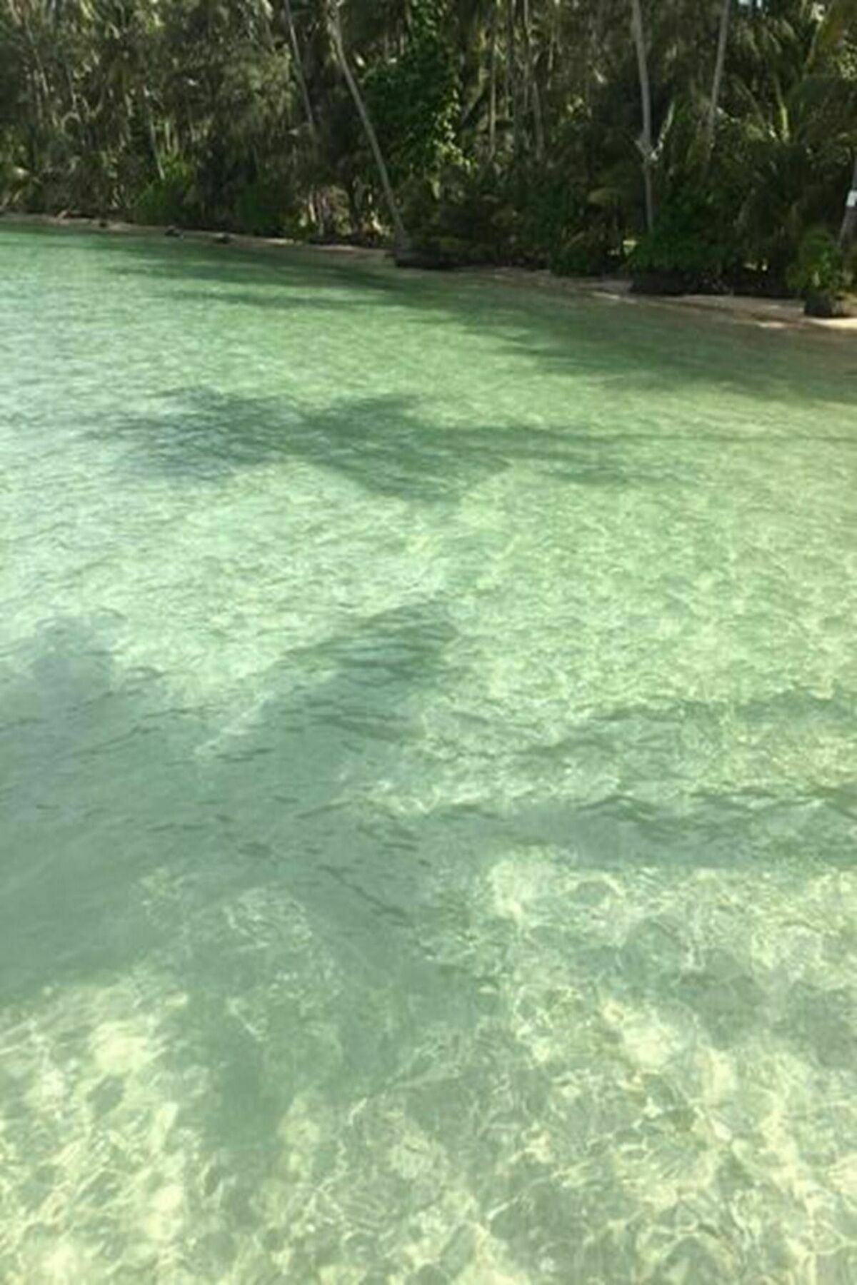 Dusita Koh Kood Resort Ko Kut المظهر الخارجي الصورة
